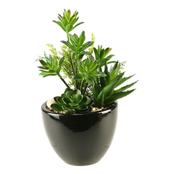D&W Silks Mini Dracaena Aloe and Echeveria in Round Ceramic Planter