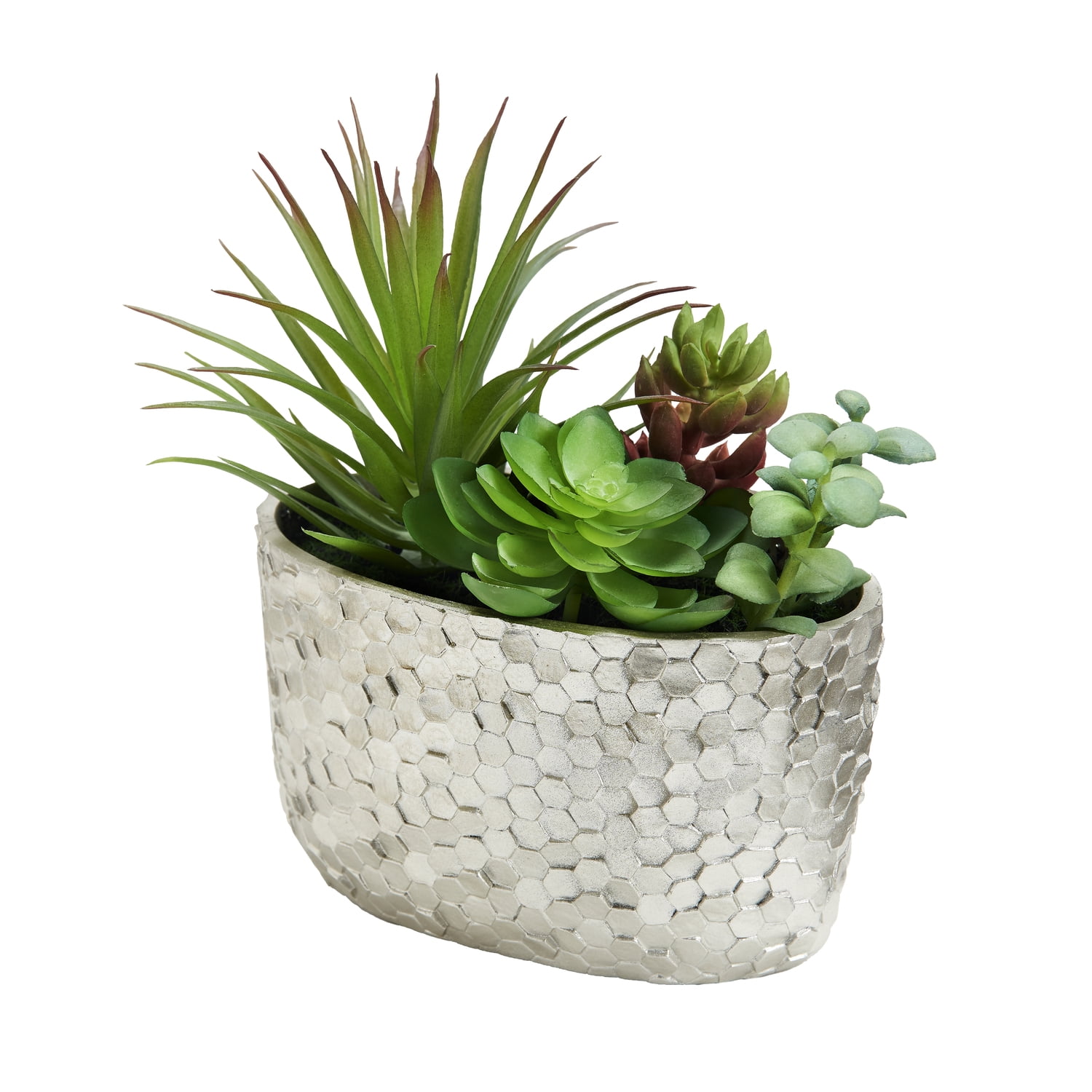 Assorted Green Succulents in Textured Silver Pot