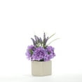 thumbnail image 1 of D&W Silks Lavender in Square Ceramic Planter, 1 of 1