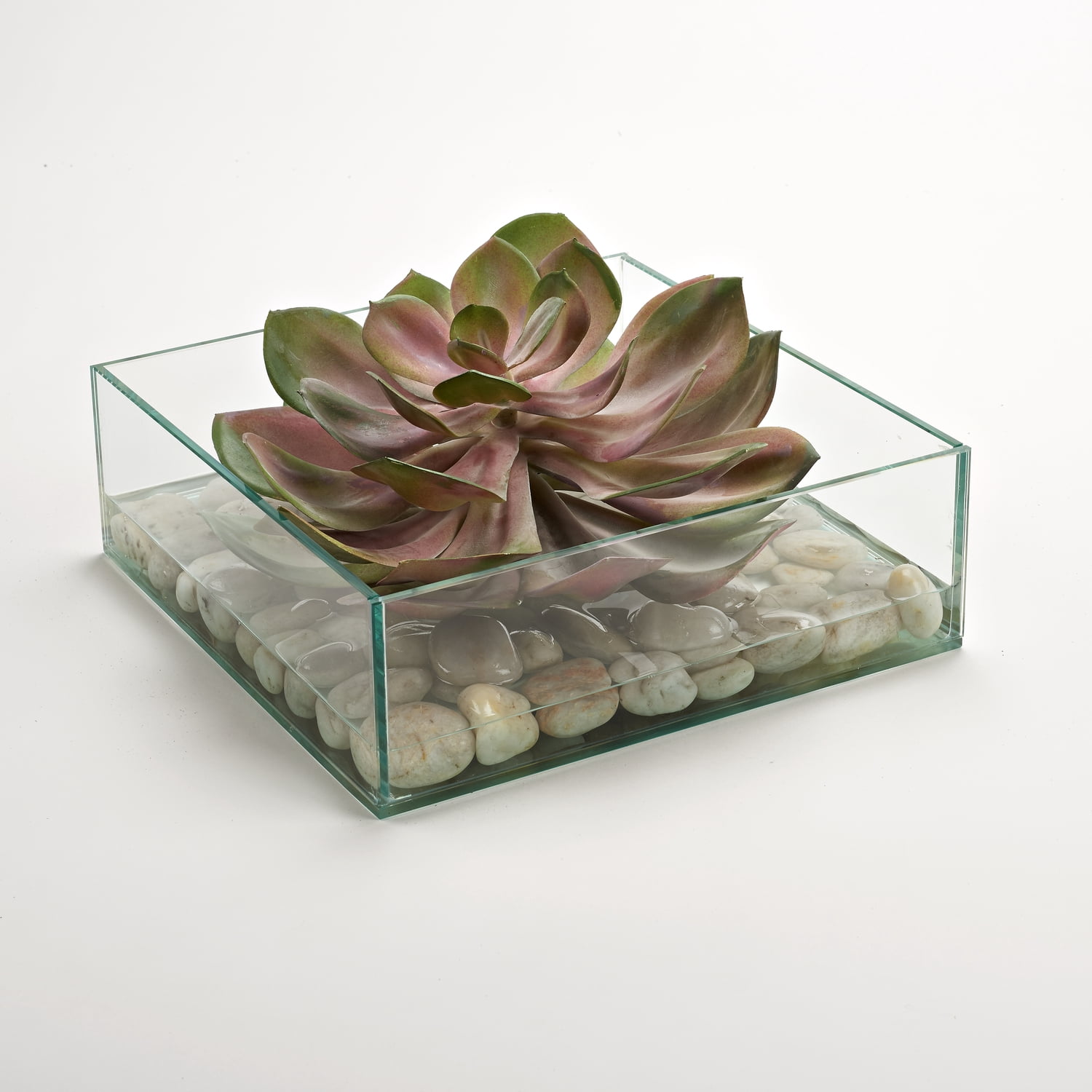 D&W Silks Re/Green Echeveria in Square Aquarium Glass