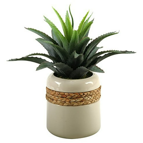 D&W Silks Star Succulent in Round Ceramic Planter