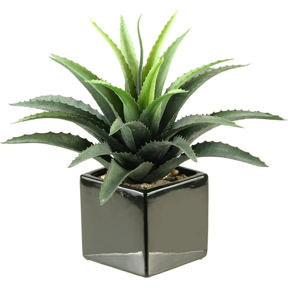 D&W Silks Star succulent in square ceramic planter