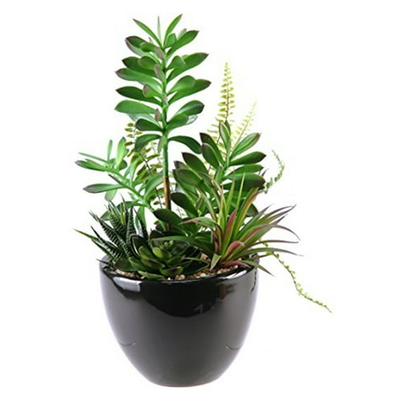 D&W Silks Succulent Aloe and Echeveria in a Round Ceramic Planter