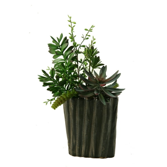 D&W Silks Succulents, Aloe and Dracaena Heads in Oval Ceramic Planter