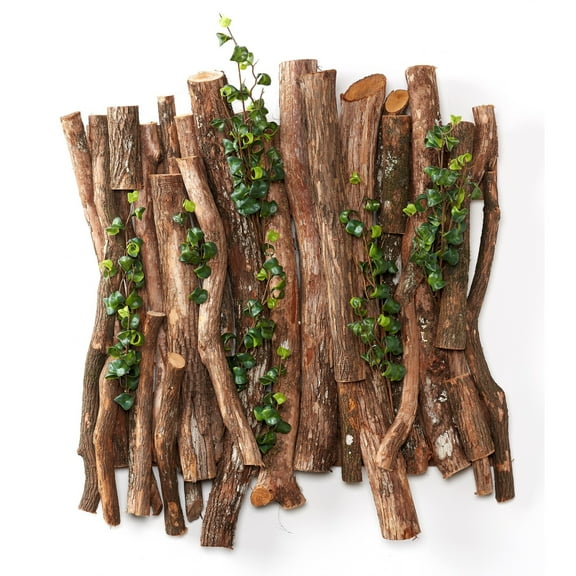 D&W Silks Wall Hanging Dragonwood with Ficus Benjamina