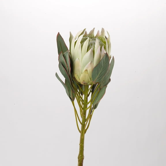 D&W Silks - White Large Protea Flower Stem - Set of 3