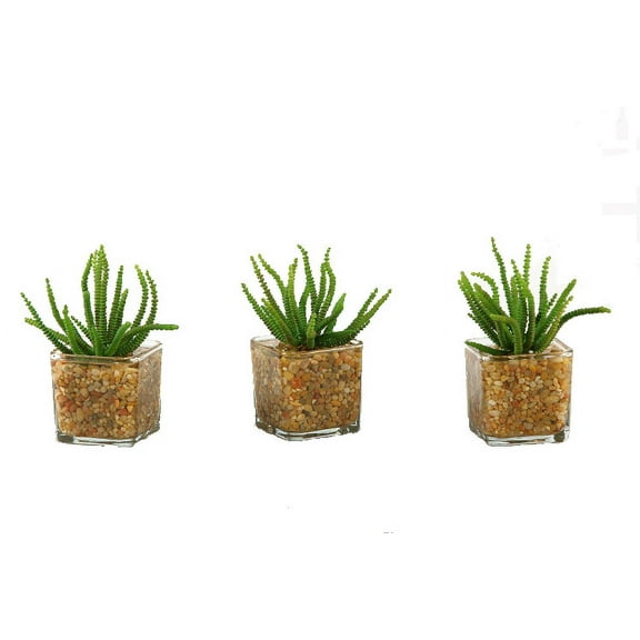 D&W Silks Worm Succulent in Glass Cube - Set of 3