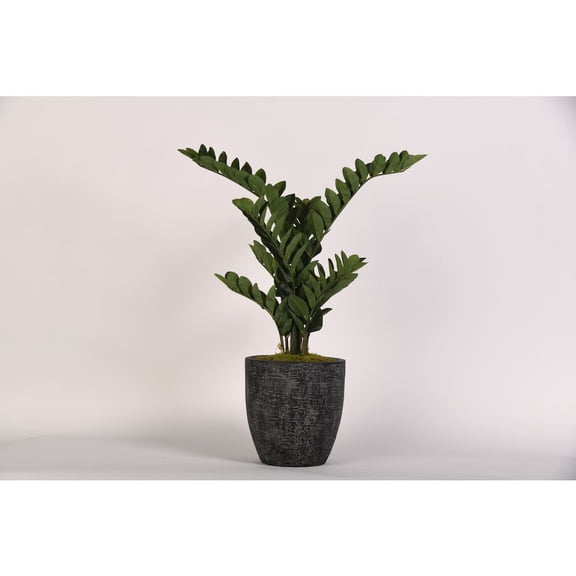 D & W Silks Zamiifolia Plant in Round Black Textured Planter