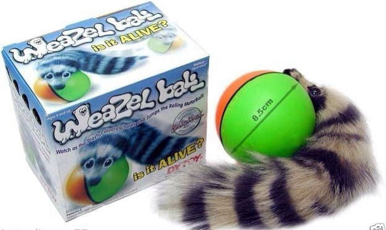 Weazel Ball Motorized Ball Pet Toy For Ages 3 and Up