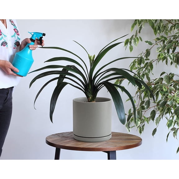 D'vine Dev 8 Inch Ceramic Planter Pot with Drainage Hole and Saucer, Indoor Cylinder Round Planter Pot, Grey, 94-O-D-3