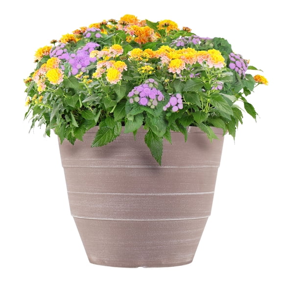 Better Homes & Gardens 18" Ageratum Lantana Combo Live Plants in 9" Decorative Pot