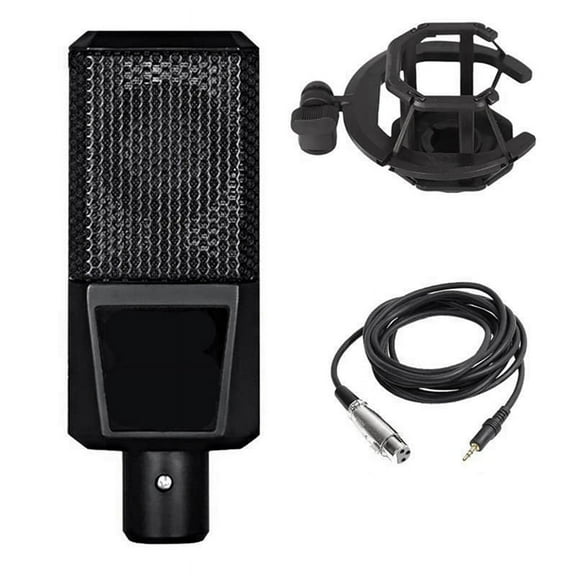 D241 Professional Studio Condenser Microphone Bundle with Mic Holder for Record Broadcast