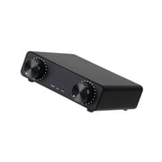 D325 Auditory Amplifier Advanced TPA3255 Chip Digital Amplifier Enhancing Heat Dissipation Design