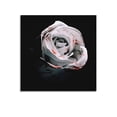 thumbnail image 1 of D4vd - Los Petalos Perdidos -poster De Lienzo Decorativo Para Pared 2 Poster Cool Artworks Painting Wall Art Canvas Prints Hanging Picture Home Decor Posters Gift 16x16inch(40x40cm), 1 of 5