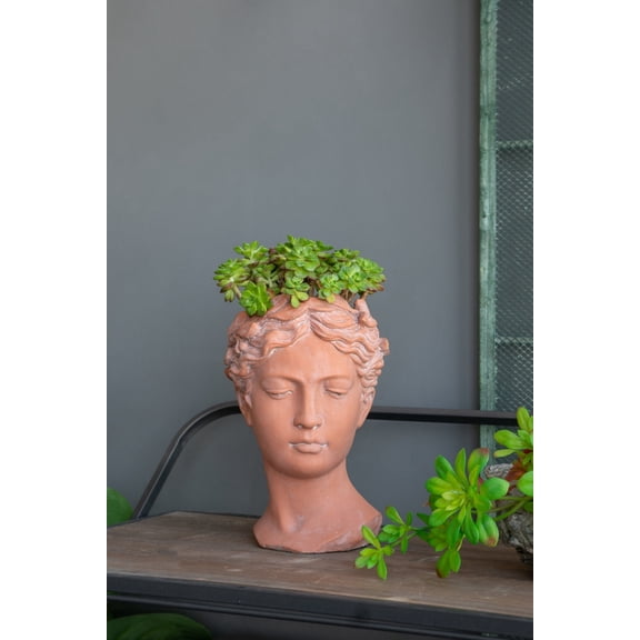 VTNG D7x11' Visage Head Bust Planter, Brown