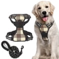 thumbnail image 1 of DABEI ISafe and Stylish Reflective Dog Harness and Leash Set for Nighttime Walks, 1 of 10