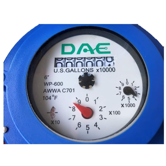 DAE WP-600P 6" Woltmann Helix Water Meter, IP68, Pulse Output, Gallon