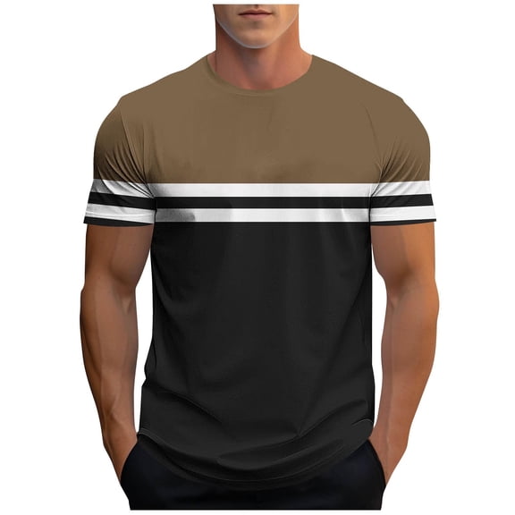 DAFPZW Men's Short Sleeve T-Shirts Crew Neck Casual Loose Summer T-Shirts Color Block Basic Tee Shirt for Daily Wear