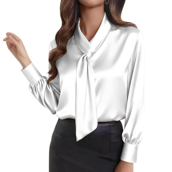 DAFPZW Women's Long Sleeve Satin Blouse V-Neck Work Silk Shirts Dressy Tops for Business Casual Office