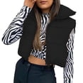 thumbnail image 1 of DAFPZW Women's Winter Cropped Puffer Vest Lightweight Sleeveless Warm Outerwear Puffer Vest Padded Gilet, 1 of 8