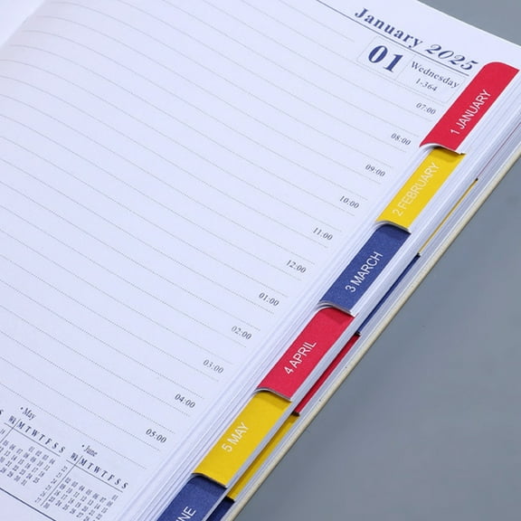 DAILIHIVE 2025 English Schedule Book,365 Day Time Management Weekly Planner Diary Notepad,Notebook Weekly Appointment Book,Sleek Writing,8.19 x 5.71 in,Hardcover