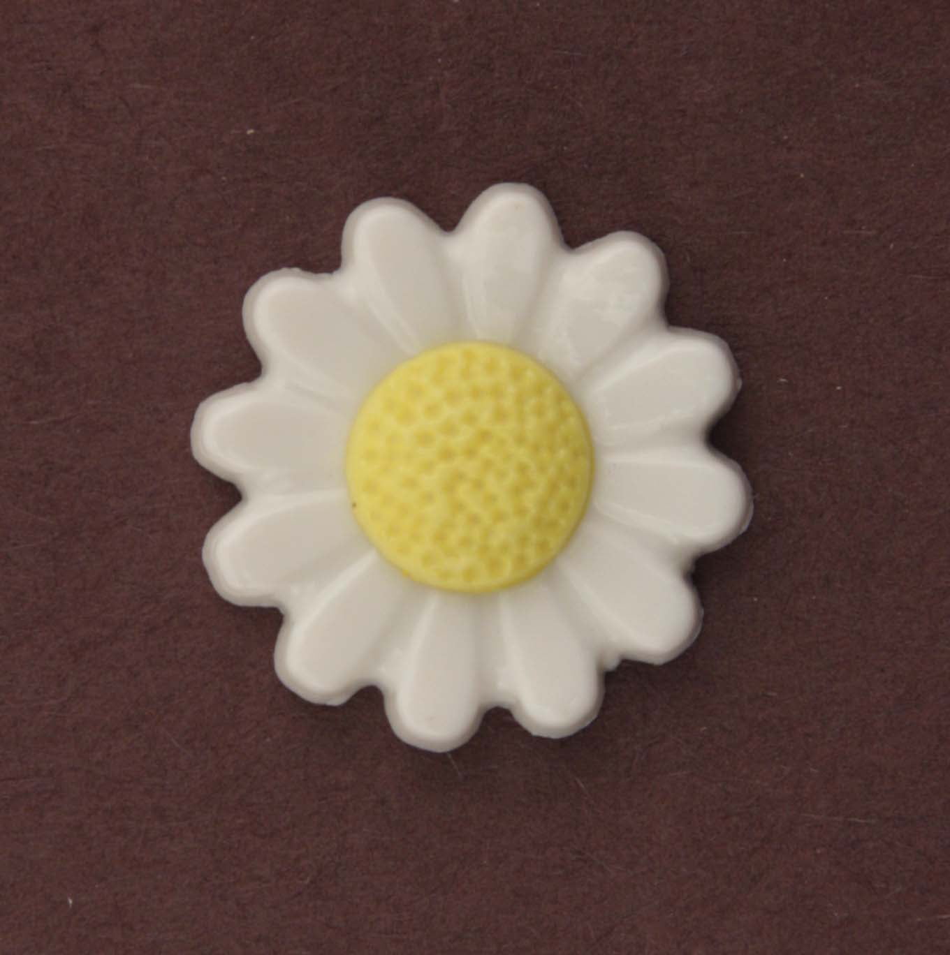 DAISY - 100 BUTTONS