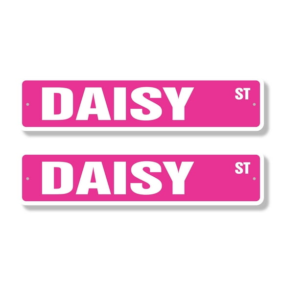 DAISY Classic Street Sign (2 Pack) Childrens Name Room Sign Road Sign | 4" X 18" Plastic Address Sign