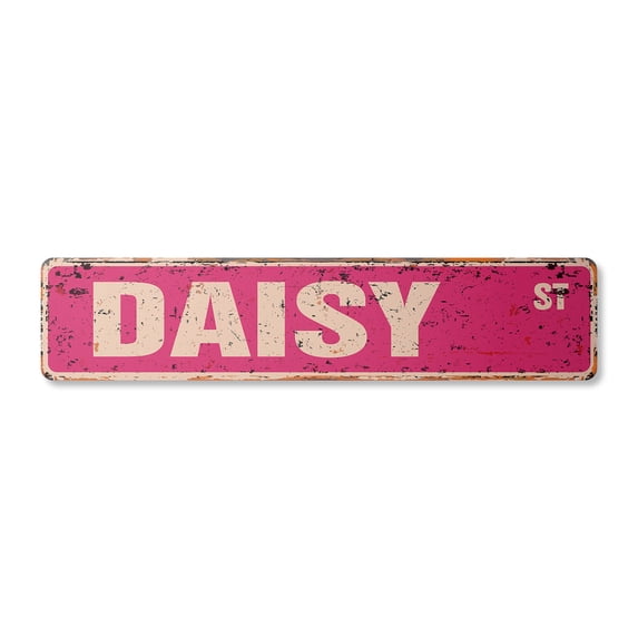 DAISY Vintage Plastic Street Sign Childrens Name Room Sign | Indoor/Outdoor |  36" Wide