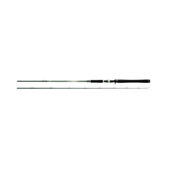DAIWA TD EYE WALLEYE ROD