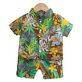thumbnail image 1 of DAKIMOE Toddler Boy Clothes Boys Hawaiian Short Sleeve Button down Shirt Shorts Suit Leaf Floral Flower Summer Baby Boy Outfit, Green, 3Y, 1 of 8