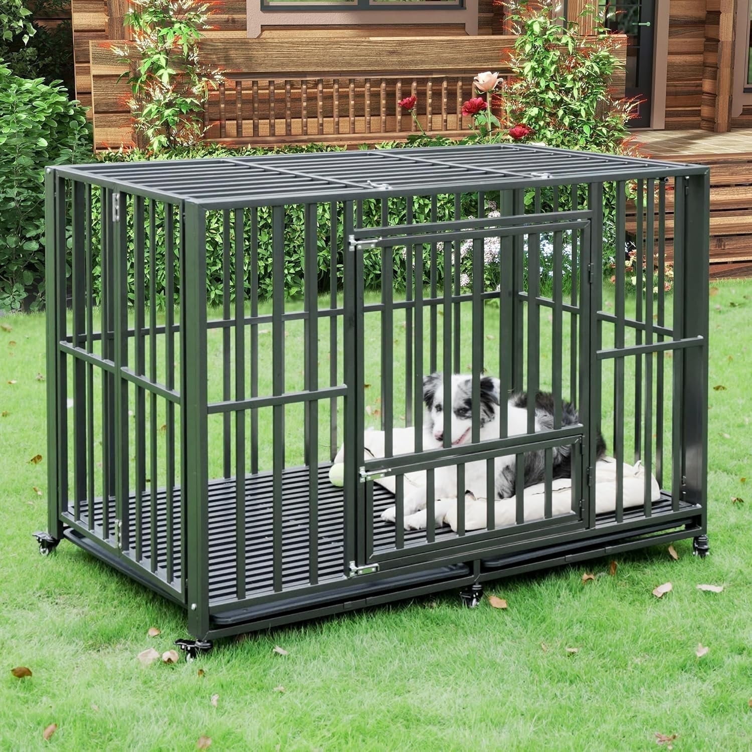 Betisef 60 inch Heavy Duty Dog Crate, Folding Dog Kennel No Assembly, Escape Proof Large Dog Cage with Lockable Wheels and Double Door Indoor/Outdoor.