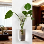 DAMAI 10 inch Glass Wall Mounted Planters, Hanging Glass Cylinder Terrariums, Wall Glass Tube Plant Holder, Clear Flower Vases Hanging for Hydroponics Plants, Garden Decor