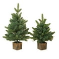 thumbnail image 1 of DAMAI 23.6 Inch Norfolk Christmas Pine Tree with Pot - Tabletop Christmas Tree with Real Touch PE Branch Tips for Front Porch Kitchens Home Indoor Outdoor Xmas Decor, 1 of 8