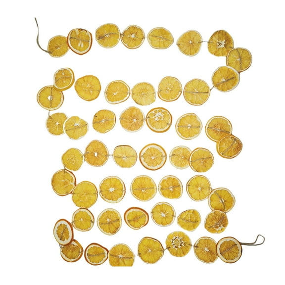 DAMAI 9.8ft Christmas Dried Orange Slices Garland for Christmas Tree Rustic Orange Slice Garland Farmhouse Dried Orange Slices Hanging Garland for Christmas Fireplace Wall Window Decor