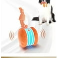 thumbnail image 1 of DAMAI Automatic Electric Rolling Ball with Rope, Moving Dog Toys to Keep Them Busy, Indoor Outdoor Floor Entertainment Chew Climbing Scratching Stimulating Small Medium Large Dogs Puppie, 1 of 2