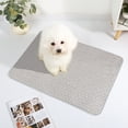 thumbnail image 1 of DAMAI Dog Cooling Mat Dogs,30" x 20" Large Pad for Dogs Sleeping Mats,Durable Self Cooling Pet Blanket for Small Medium Large Dogs and Cats, Pet Sleeping Pad for Crate,Bed,Indoor & Outdoor Floor, 1 of 8