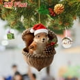 thumbnail image 1 of DAMAI Forest Animal Acorn Ornaments With Christmas Hat Berry Pinecone, 2026 New Cozy Woodland Animal Christmas Tree Decor, 2D Flat Acrylic Pine Cone Animal Hanging Pendants for Xmas Nature Lovers, 1 of 4