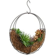 DAMAI Moon Shaped Wire Wreath Frame Hanger, 11 inch Air Plants Holders Wire Wreath Frame Hanger, Metal Hanging Planter Flower Hanging Stand, Hanging Flower Stand Wall Plant Holder