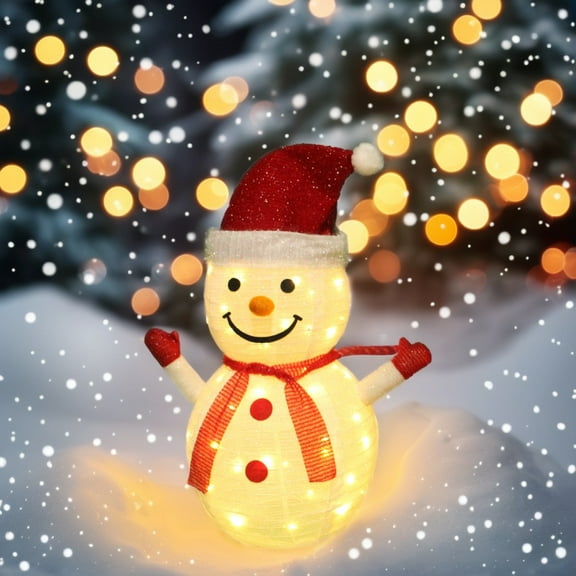 DAMAI Oudoor Christmas Standing Lighted Snowman Decoration, 27 inch Light up Snowman with Timer Battery-Powered 40 LED Xmas Lights for Yard Patio Garden Party Decor Home Decor