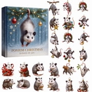 DAMAI Possum Christmas Advent Calendar 2025, 24 Days Christmas Possum Advent Calendar 2025 with Cute 2D Acrylic Opossum Ornaments Xmas Tree Ornaments for Festive Holiday Decor