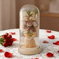 thumbnail image 1 of DAMAI Preserved Rose Bouquet, Forever Flower Bouquet in Glass Dome, Valentines Preserved Flowers Artificial Pink Roses Bouquet for Him Her Wedding Eternal Rose Presents, 1 of 6