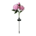 thumbnail image 1 of DAMAI Solar Garden Lights with 6 Peony Flowers, Dusk to Dawn, LED Flower Lights 2 Pack IP65 Waterproof Stake Lawn Light for Pathway Patio Backyard Outdoor Decor (Pink), 1 of 7
