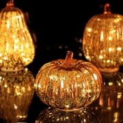 DAMAI Twinkle LED Starry Night Pumpkin,2025 New Mercury Glass Pumpkin Light with Timer,Fall Halloween Decorations for Home Bedroom Hallway Thanksgiving Table Decor