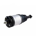 thumbnail image 1 of DAMAIJOY 1 Pair Rear Left Right Side Suspension Shock Strut & Springs& Springsassembly Complete Air for Land Rover for LR3 2005-2009 for LR4 2010-2014 for Rover Sport 2006-2013, 1 of 8