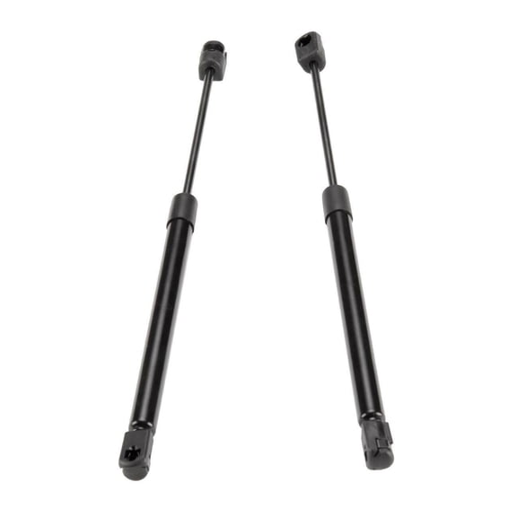 DAMAIJOY 2pcs Deck Lid Lift Supports Rear Side Struts Black Steel for Chevy for SSR 2003-2006 9.35''-Compressed Length VT11-0856 15164801