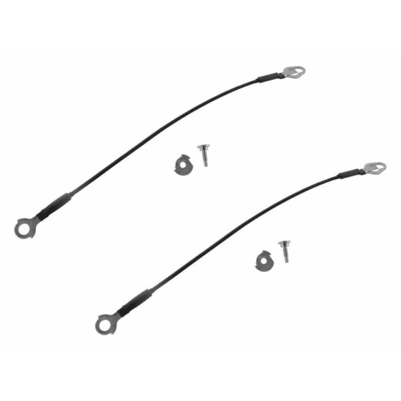 DAMAIJOY Tailgate Tail Gate Cables Straps Pair Set for Ford for F150 01-03 & Heritage 04 for F250 SuperDuty 03-08 for F350 SuperDuty 03-08 for F450 SuperDuty 03-08 for F550 SuperDuty 03-08