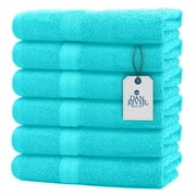 DAN RIVER 100% Cotton Hand Towel Set of 6| Ultra Soft Bathroom Hand Towels| Salon Towel| Absorbent| Extra Large Hand Towel| Spa Hand Towel| Gym Hand Towel Aqua Hand Towel| Hand Towel 16x28 in|600 GSM