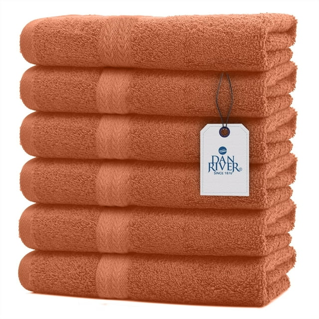 DAN RIVER 100 Cotton Hand Towel Set of 6 Ultra Soft Bathroom Hand Towels Salon Towel