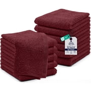 Dan River Washcloths pack of 12 High-Quality Soft Cotton Absorbent and Multipurpose Wash Clothes for Face & Body - Pomegranate, 12x12in