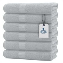 Dan River 100% Ring Spun Cotton Solid Hand Towel Pack of 6 Quick Dry & Absorbent Towels for Bathroom - Silver 16x28In
